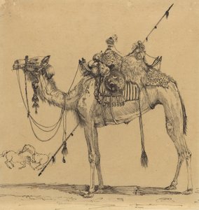ラクダ（ペンとインク） 作： Rodolphe Bresdin